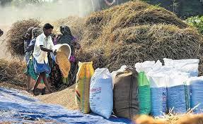 TN govt fixes MSP for paddy at Rs 2,545, procurement to begin from September 1 | TN govt fixes MSP for paddy at Rs 2,545, procurement to begin from September 1 TN govt fixes MSP for paddy at Rs 2,545, procurement to begin from September 1 | TN govt fixes MSP for paddy at Rs 2,545, procurement to begin from September 1