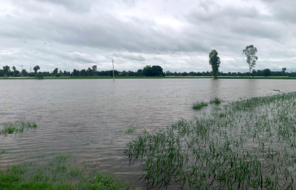 PM Modi dials Punjab CM to discuss flood situation, assures help | PM Modi dials Punjab CM to discuss flood situation, assures help PM Modi dials Punjab CM to discuss flood situation, assures help | PM Modi dials Punjab CM to discuss flood situation, assures help