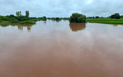 Akali Dal chief urges PM to enhance Punjab relief of Rs 1,600 crore | Akali Dal chief urges PM to enhance Punjab relief of Rs 1,600 crore Akali Dal chief urges PM to enhance Punjab relief of Rs 1,600 crore | Akali Dal chief urges PM to enhance Punjab relief of Rs 1,600 crore