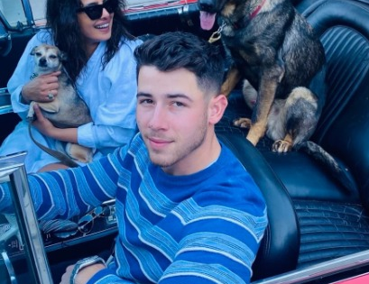 Priyanka, Nick celebrate furry friends Gino, Diana’s b’day: We love you so much | Priyanka, Nick celebrate furry friends Gino, Diana’s b’day: We love you so much Priyanka, Nick celebrate furry friends Gino, Diana’s b’day: We love you so much | Priyanka, Nick celebrate furry friends Gino, Diana’s b’day: We love you so much