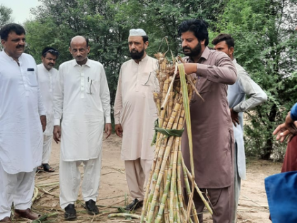 Pakistan’s sugar industry marred with corruption and political nexus: Report | Pakistan’s sugar industry marred with corruption and political nexus: Report Pakistan’s sugar industry marred with corruption and political nexus: Report | Pakistan’s sugar industry marred with corruption and political nexus: Report