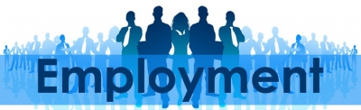 Employment in India’s unincorporated sector crosses record 13 crore | Employment in India’s unincorporated sector crosses record 13 crore