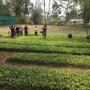 Nagaland has potential for coffee plantation in over 10 lakh hectares: CM Rio | Nagaland has potential for coffee plantation in over 10 lakh hectares: CM Rio Nagaland has potential for coffee plantation in over 10 lakh hectares: CM Rio | Nagaland has potential for coffee plantation in over 10 lakh hectares: CM Rio