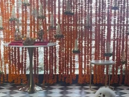 Kartik Aaryan captures Katori sulking over Bappa’s farewell | Kartik Aaryan captures Katori sulking over Bappa’s farewell Kartik Aaryan captures Katori sulking over Bappa’s farewell | Kartik Aaryan captures Katori sulking over Bappa’s farewell