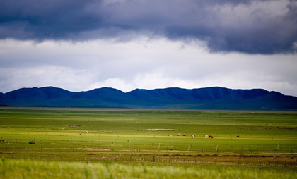 Two more bubonic plague cases reported in Mongolia's Khuvsgul | Two more bubonic plague cases reported in Mongolia's Khuvsgul