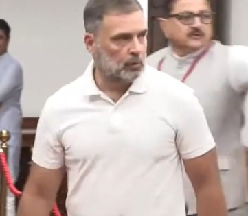 Sonia, Rahul Gandhi cast their votes for VP election | Sonia, Rahul Gandhi cast their votes for VP election Sonia, Rahul Gandhi cast their votes for VP election | Sonia, Rahul Gandhi cast their votes for VP election