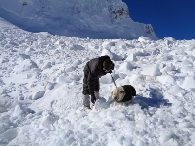 Three soldiers killed in Siachen avalanche | Three soldiers killed in Siachen avalanche