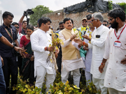 MP CM reviews crop damage and orders state-wide survey; Cong to protest in Ujjain tomorrow | MP CM reviews crop damage and orders state-wide survey; Cong to protest in Ujjain tomorrow