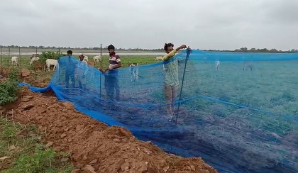 MP: Neemuch fishermen reap direct benefits of Pradhan Mantri Matsya Sampada Yojana | MP: Neemuch fishermen reap direct benefits of Pradhan Mantri Matsya Sampada Yojana