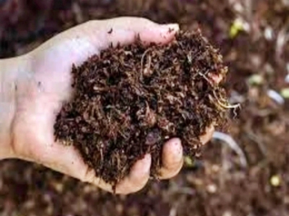 BJD slams Mohan Majhi-led govt over fertiliser shortage in Odisha | BJD slams Mohan Majhi-led govt over fertiliser shortage in Odisha
