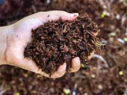 Opposition parties slam Odisha government over fertiliser crisis | Opposition parties slam Odisha government over fertiliser crisis Opposition parties slam Odisha government over fertiliser crisis | Opposition parties slam Odisha government over fertiliser crisis