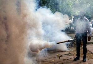 Dengue cases rise in TN's Krishnagiri, govt steps up preventive measures | Dengue cases rise in TN's Krishnagiri, govt steps up preventive measures Dengue cases rise in TN's Krishnagiri, govt steps up preventive measures | Dengue cases rise in TN's Krishnagiri, govt steps up preventive measures