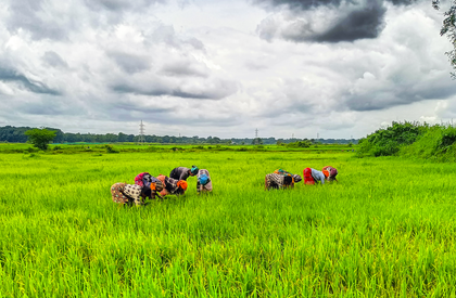 Over 50 lakh farmers become shareholders in 10,000 FPOs in 5 years | Over 50 lakh farmers become shareholders in 10,000 FPOs in 5 years