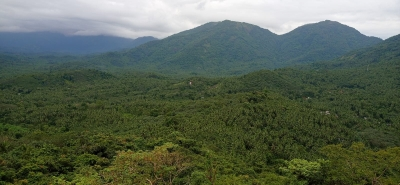 IIT Kharagpur study shows a steady decline in the country's forest health | IIT Kharagpur study shows a steady decline in the country's forest health