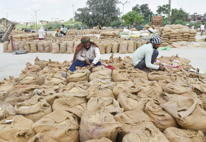 Punjab set to procure 172 lakh metric tonnes paddy | Punjab set to procure 172 lakh metric tonnes paddy