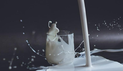 Kerala pushes for milk self-sufficiency, farmers gain Rs 254.79 Cr in support | Kerala pushes for milk self-sufficiency, farmers gain Rs 254.79 Cr in support