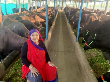 Gujarat's Maniben sells milk worth Rs 1.94 crore in 2024-25, targets Rs 3 crore sales this year | Gujarat's Maniben sells milk worth Rs 1.94 crore in 2024-25, targets Rs 3 crore sales this year