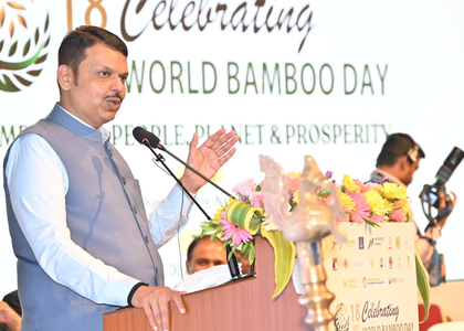 Maha govt to implement bamboo industry policy, focus on creating sustainable market | Maha govt to implement bamboo industry policy, focus on creating sustainable market