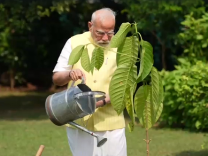 PM Modi plants Kadamb sapling gifted by King Charles at his residence | PM Modi plants Kadamb sapling gifted by King Charles at his residence