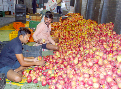 1.73 crore apple boxes transported from Himachal, says govt | 1.73 crore apple boxes transported from Himachal, says govt