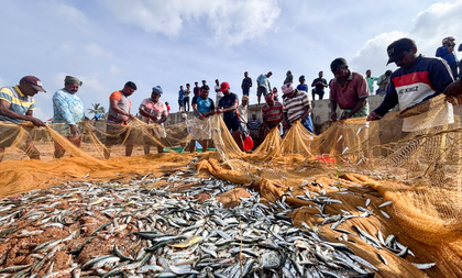 India world’s second-largest fish producer, contributing 8 pc to global output | India world’s second-largest fish producer, contributing 8 pc to global output