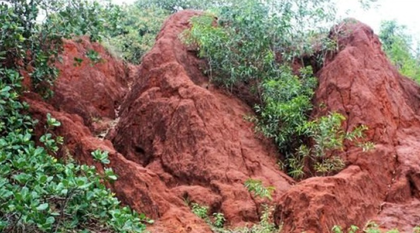 A look at India’s 7 natural heritage locations, picked up as UNESCO’s world heritage sites | A look at India’s 7 natural heritage locations, picked up as UNESCO’s world heritage sites