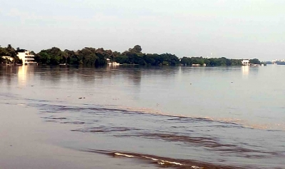 Telangana claims 70 per cent of Krishna water before tribunal | Telangana claims 70 per cent of Krishna water before tribunal