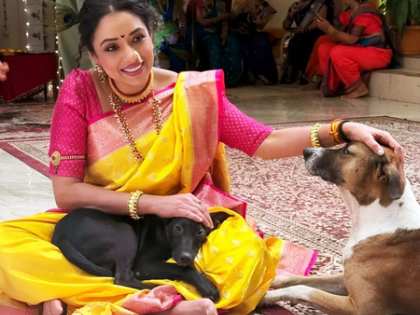 Rupali Ganguly celebrates Navratri with her "Anupamaa" pets, shares emotional note on compassion for voiceless souls | Rupali Ganguly celebrates Navratri with her "Anupamaa" pets, shares emotional note on compassion for voiceless souls