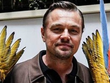 Leonardo DiCaprio shared why he thinks box-office is important | Leonardo DiCaprio shared why he thinks box-office is important