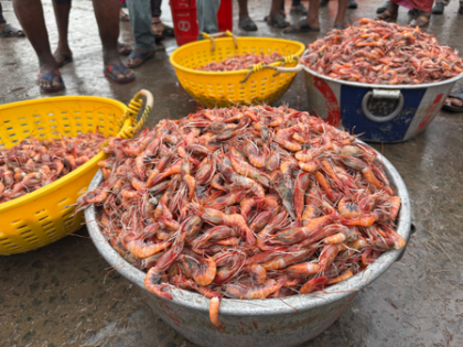 India moves closer to global certification for 10 fish species | India moves closer to global certification for 10 fish species
