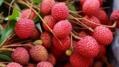 From Makhana to Shahi Litchi, GST rejig to boost Bihar’s economy, ramp up exports | From Makhana to Shahi Litchi, GST rejig to boost Bihar’s economy, ramp up exports