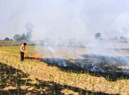 Punjab launches campaign on ill-effects of stubble burning | Punjab launches campaign on ill-effects of stubble burning Punjab launches campaign on ill-effects of stubble burning | Punjab launches campaign on ill-effects of stubble burning