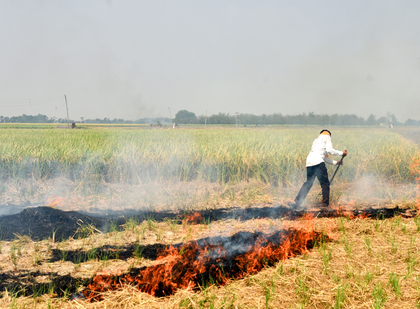 Four-fold reduction in farm fire cases, says Punjab government | Four-fold reduction in farm fire cases, says Punjab government Four-fold reduction in farm fire cases, says Punjab government | Four-fold reduction in farm fire cases, says Punjab government