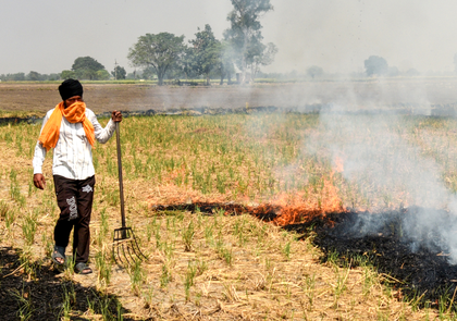 After floods in Punjab and Haryana, stubble burning decreased by 77 pc | After floods in Punjab and Haryana, stubble burning decreased by 77 pc After floods in Punjab and Haryana, stubble burning decreased by 77 pc | After floods in Punjab and Haryana, stubble burning decreased by 77 pc