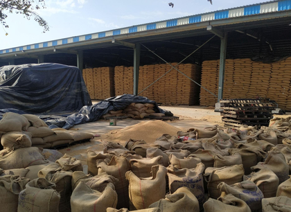 India expanding foodgrain storage capacity to match rising farm production | India expanding foodgrain storage capacity to match rising farm production