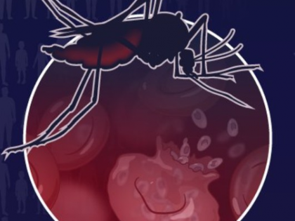 Alert in Kerala’s Malappuram after 3 of a migrant worker family test positive for malaria | Alert in Kerala’s Malappuram after 3 of a migrant worker family test positive for malaria