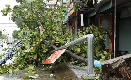 Typhoon Bualoi leaves 19 dead, 88 injured in Vietnam | Typhoon Bualoi leaves 19 dead, 88 injured in Vietnam