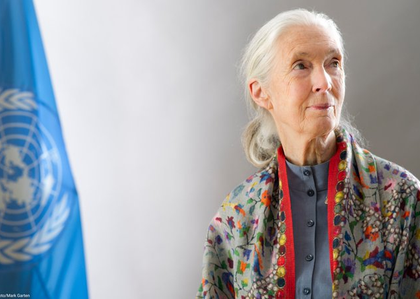 Tributes pour in as world-renowned primatologist Jane Goodall passes away | Tributes pour in as world-renowned primatologist Jane Goodall passes away