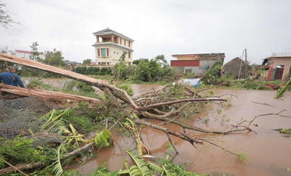 Typhoon Bualoi leaves 51 dead in Vietnam | Typhoon Bualoi leaves 51 dead in Vietnam