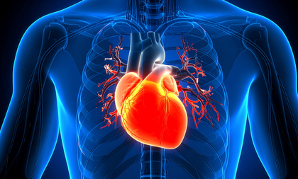 Long Covid patients more likely to suffer from unusual heart rhythm disorder | Long Covid patients more likely to suffer from unusual heart rhythm disorder