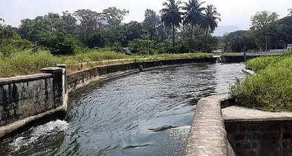 Farmers of Tiruppur await TN govt's order to release Rs 10 crore for dredging PAP canals | Farmers of Tiruppur await TN govt's order to release Rs 10 crore for dredging PAP canals