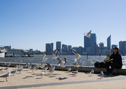 Climate Change linked to nearly 100,000 deaths from 2023 Heatwaves, global study finds | Climate Change linked to nearly 100,000 deaths from 2023 Heatwaves, global study finds