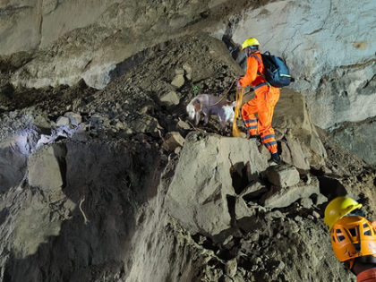 Rain-triggered landslide hits bus in Himachal; 15 killed, three rescued | Rain-triggered landslide hits bus in Himachal; 15 killed, three rescued