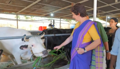 Priyanka Gandhi meets dairy farmers in Kerala, vows to raise concerns with Centre | Priyanka Gandhi meets dairy farmers in Kerala, vows to raise concerns with Centre