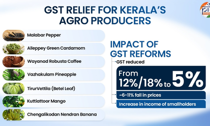 From spice gardens to cashew corridors, GST rejig to boost Kerala's economy | From spice gardens to cashew corridors, GST rejig to boost Kerala's economy From spice gardens to cashew corridors, GST rejig to boost Kerala's economy | From spice gardens to cashew corridors, GST rejig to boost Kerala's economy