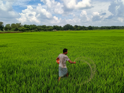 Chhattisgarh to buy paddy at Rs 3,100 per quintal from Nov 15 with digital tokens, biometric checks | Chhattisgarh to buy paddy at Rs 3,100 per quintal from Nov 15 with digital tokens, biometric checks Chhattisgarh to buy paddy at Rs 3,100 per quintal from Nov 15 with digital tokens, biometric checks | Chhattisgarh to buy paddy at Rs 3,100 per quintal from Nov 15 with digital tokens, biometric checks