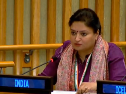 India questions credibility of UN panel whose report made false claim | India questions credibility of UN panel whose report made false claim India questions credibility of UN panel whose report made false claim | India questions credibility of UN panel whose report made false claim