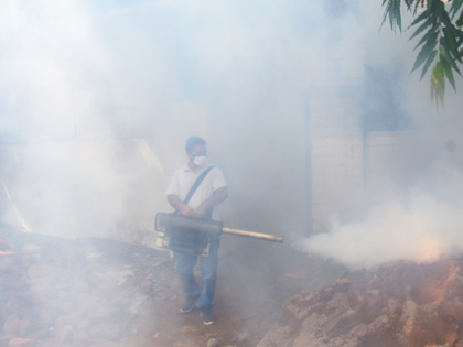 TN govt intensifies efforts to contain spike in dengue, typhoid cases | TN govt intensifies efforts to contain spike in dengue, typhoid cases