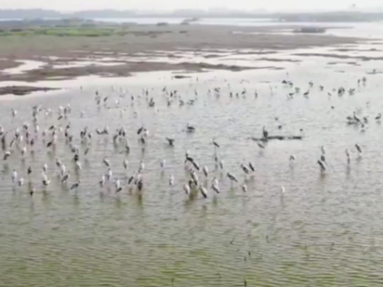 TN mulls proposing Samanatham tank as Ramsar site for wetland conservation | TN mulls proposing Samanatham tank as Ramsar site for wetland conservation TN mulls proposing Samanatham tank as Ramsar site for wetland conservation | TN mulls proposing Samanatham tank as Ramsar site for wetland conservation