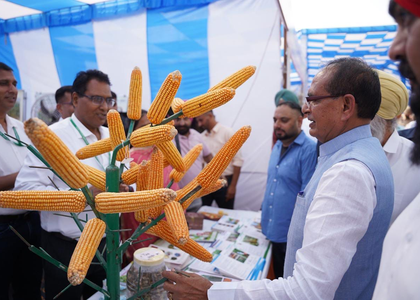 Rs 1.6 lakh approved per family for reconstruction of 36,703 houses damaged in Punjab floods: Union Minister Chouhan | Rs 1.6 lakh approved per family for reconstruction of 36,703 houses damaged in Punjab floods: Union Minister Chouhan Rs 1.6 lakh approved per family for reconstruction of 36,703 houses damaged in Punjab floods: Union Minister Chouhan | Rs 1.6 lakh approved per family for reconstruction of 36,703 houses damaged in Punjab floods: Union Minister Chouhan